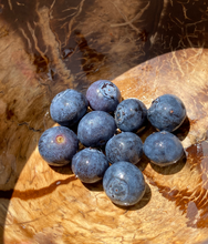 Load image into Gallery viewer, Coconut Bowl Set - PLANET JOY