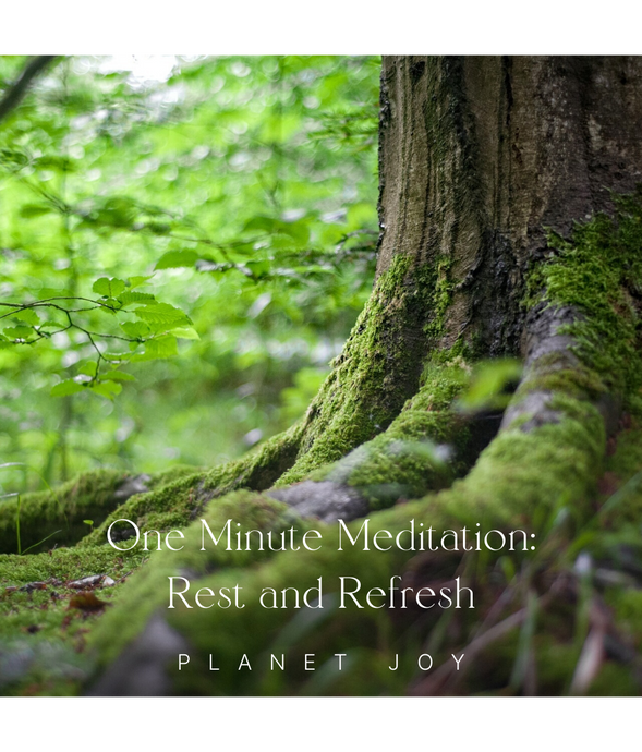 One Minute Meditation: Rest and Refresh - PLANET JOY
