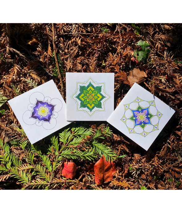 Mandala Greeting Cards — Set of 9 - PLANET JOY